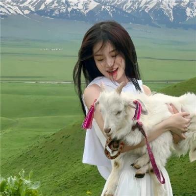 哗鬼旅行团